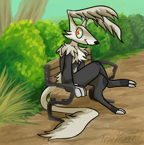 A Day at the Park
